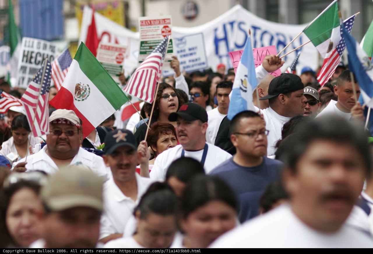 Unity Through Flags