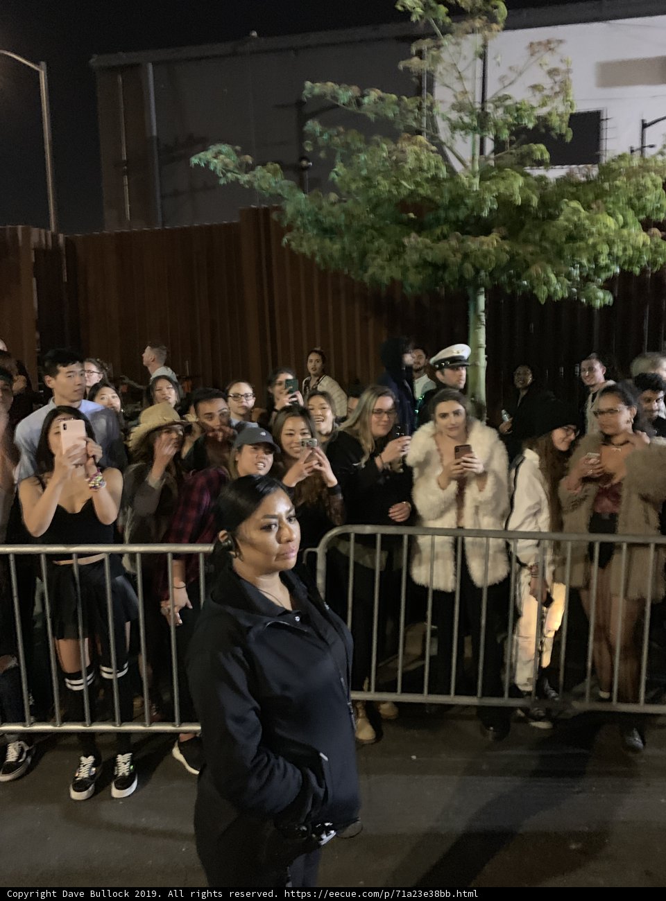 Leading the Crowd