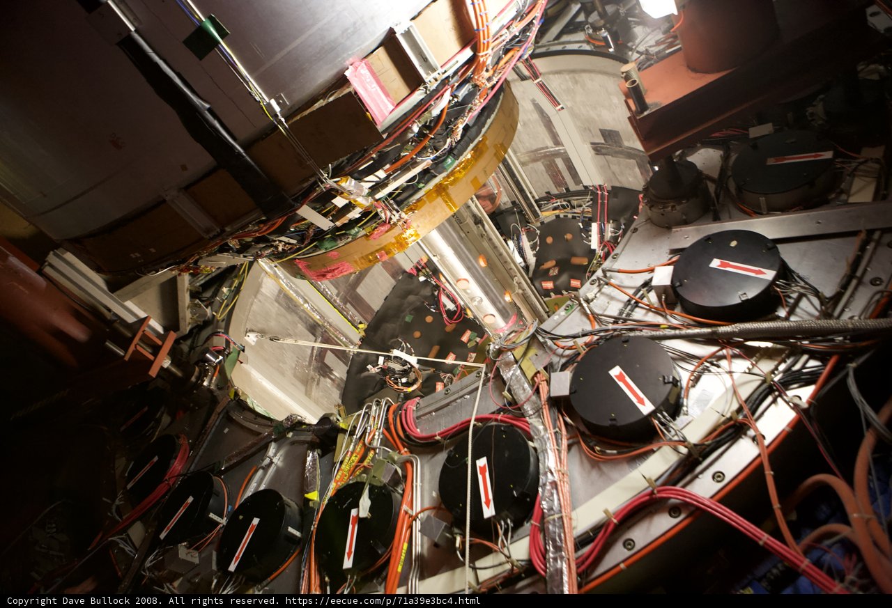 The Intricate Wiring of a Complex Machine