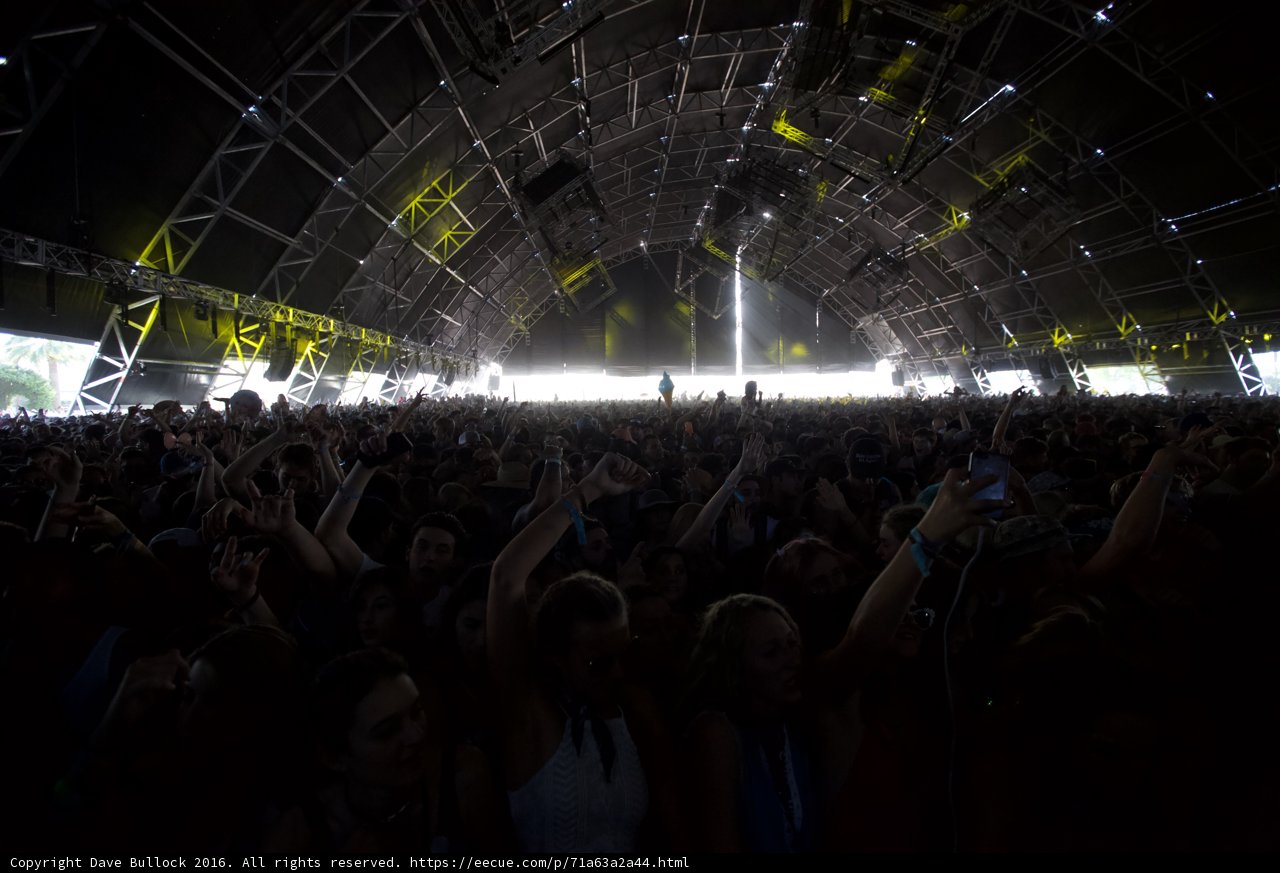 Hands Up in the Crowd