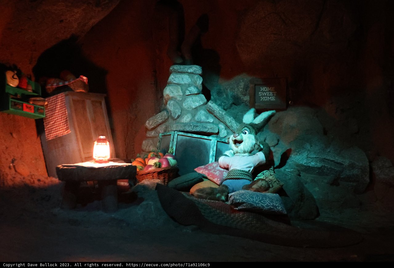 The Cozy Cave Companion