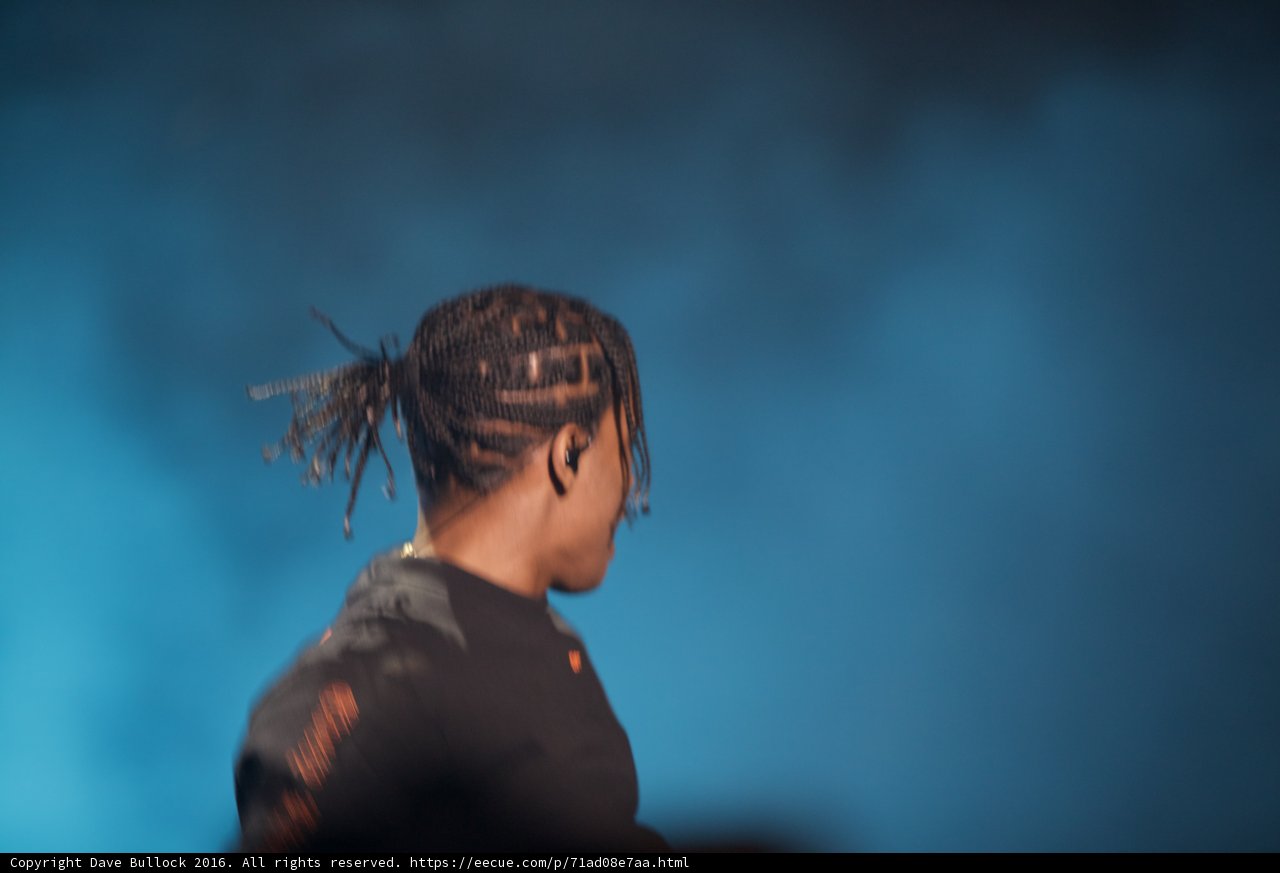 Dreadlocked Man at Coachella
