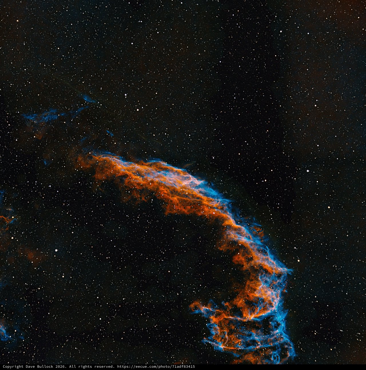 The Eastern Veil Nebula: Supernova Remnant in Cygnus