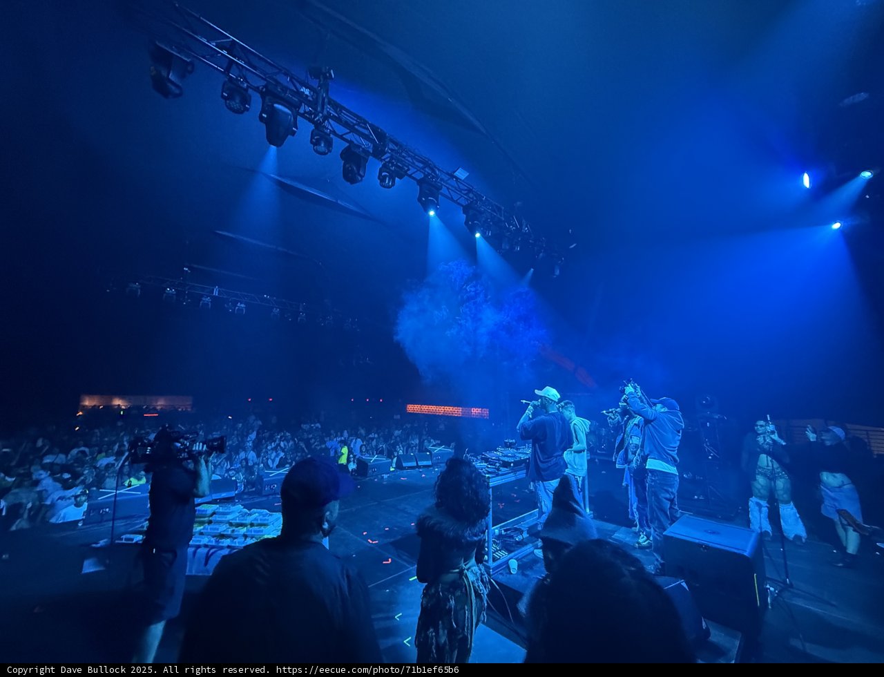 Electric Nights in Indigo