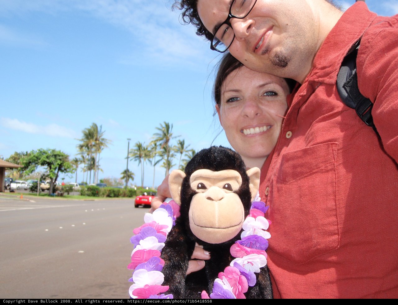 Couple Poses with Monkey Plush in Hawaii