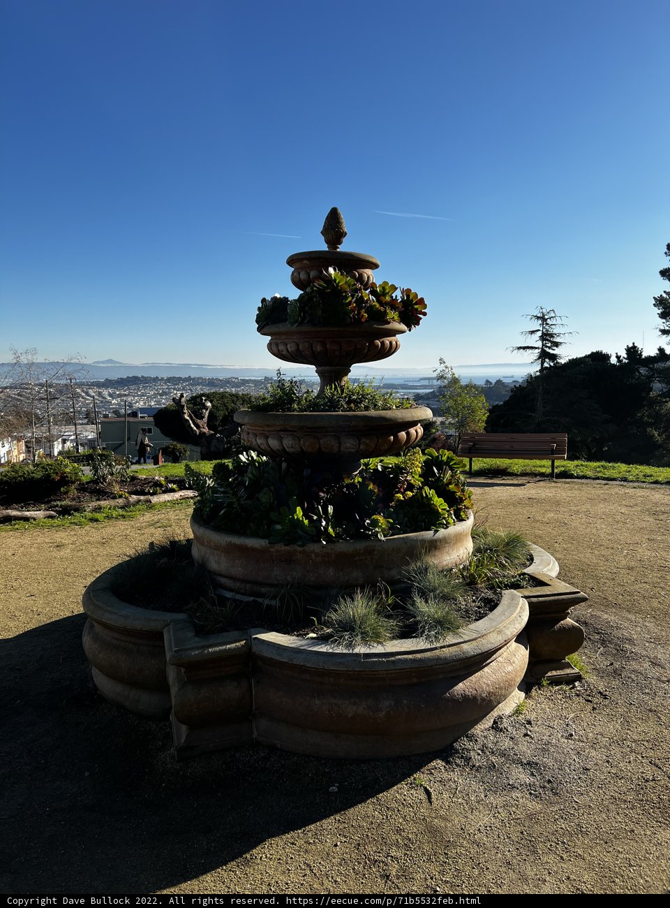 Serene Fountain Garden