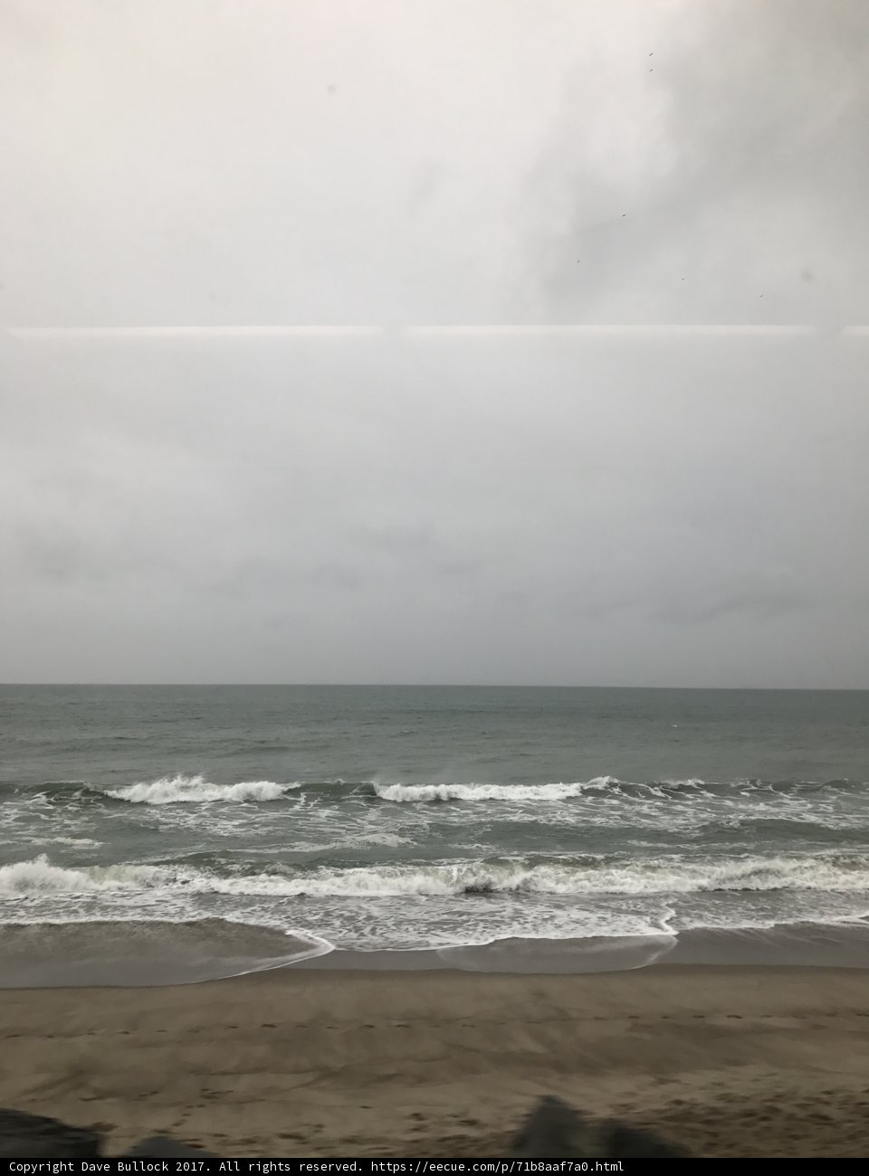 Pacific Ocean views from a train ride