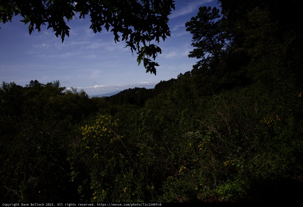 Serenity in Tilden Park