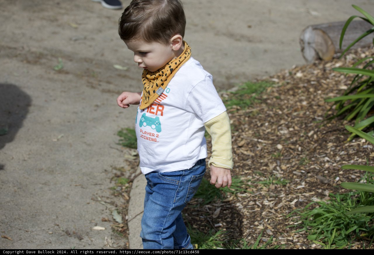 The Boy with the Yellow Bandana: A Day at the SF Zoo