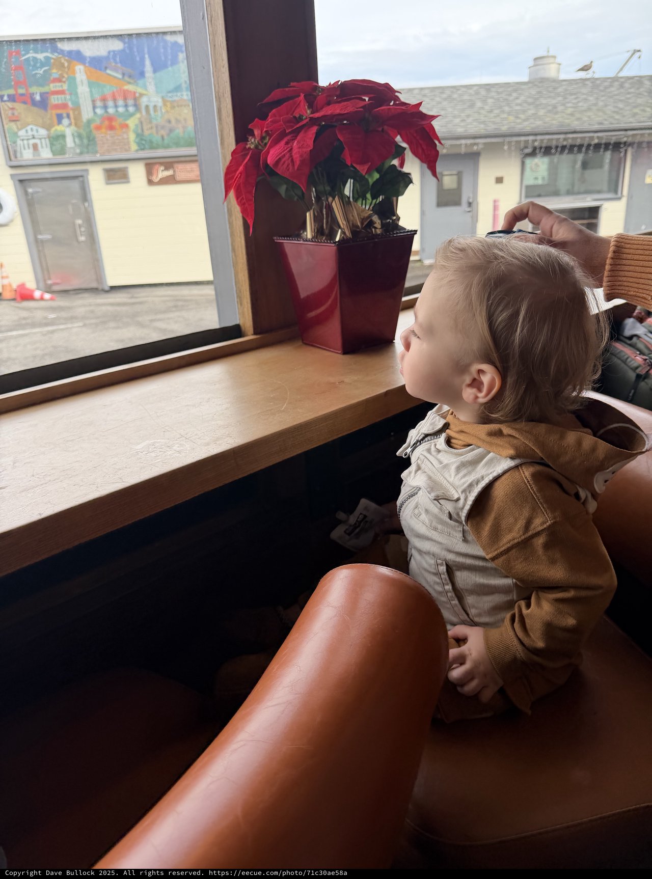 Toddler Watching Winter Day Through Window