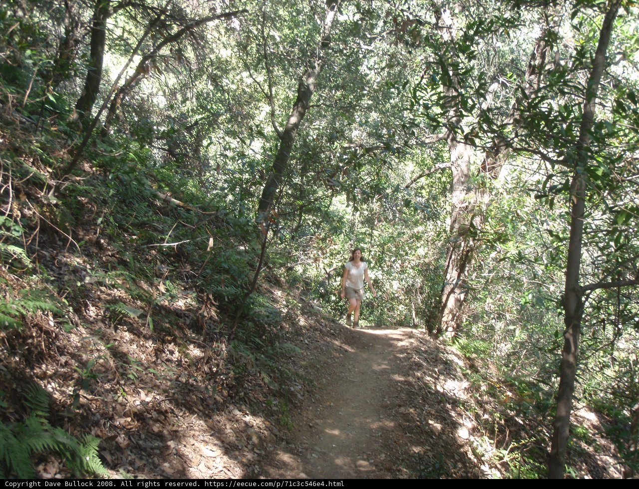 Journey Through the Wilderness