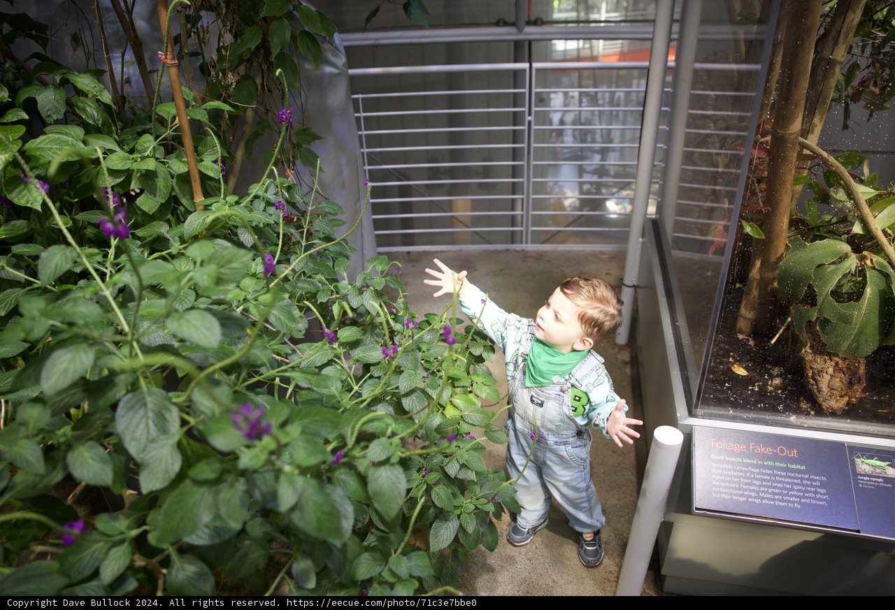 Discovering Nature's Wonders
