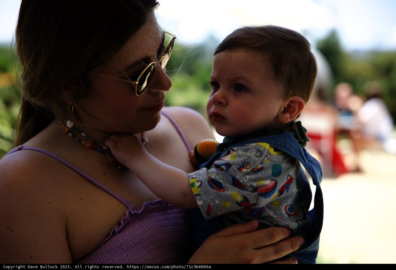 Tender Embrace on a Sunny Day