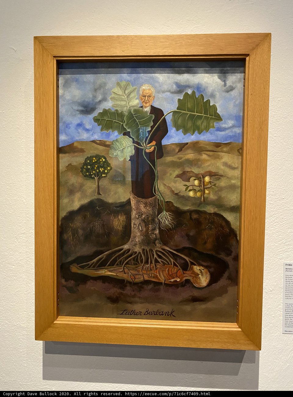Luther Burbank with His Tree