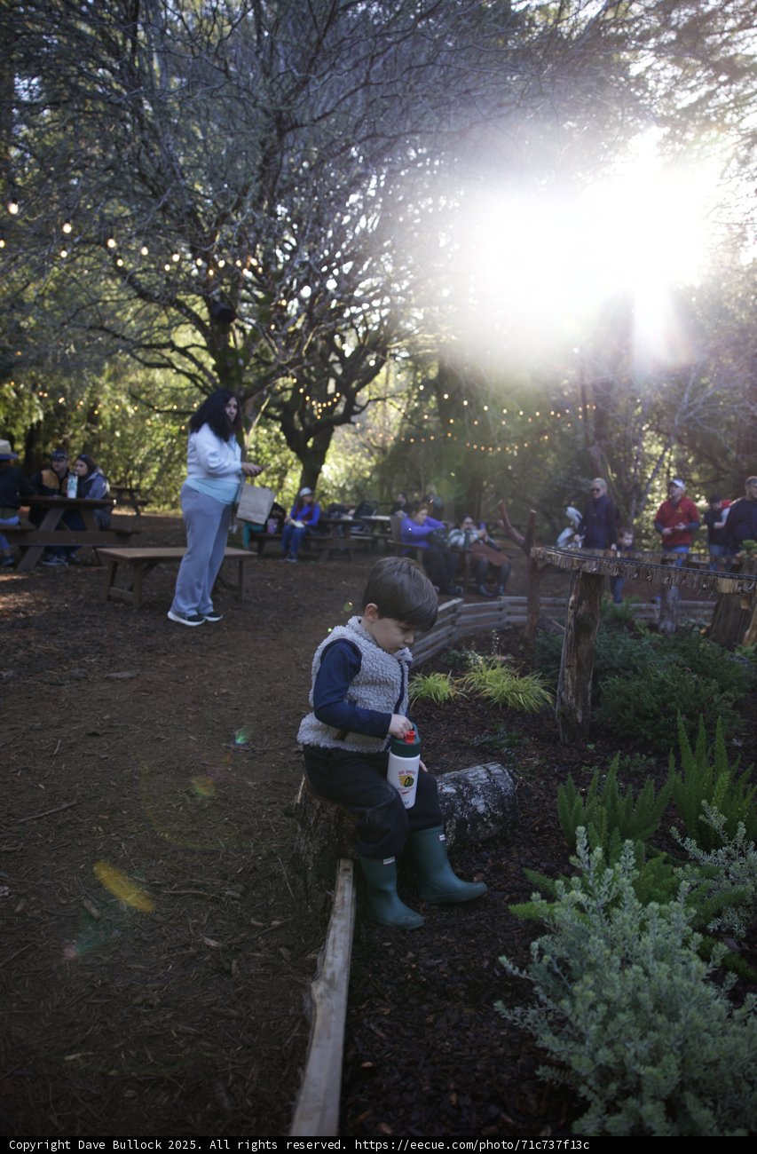 Sunlit Wonders at Thistlewyck