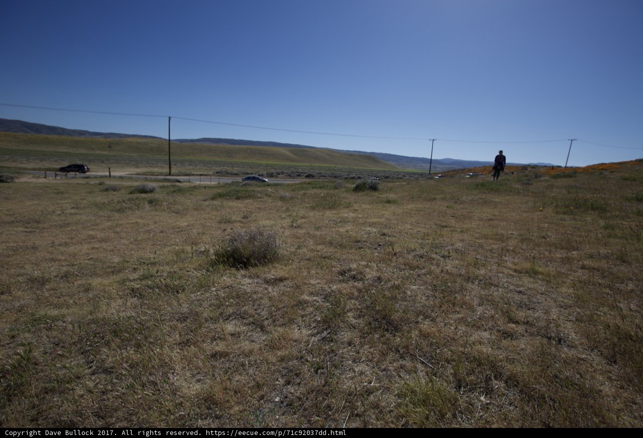 Overlooking the Vast Rural Landscape