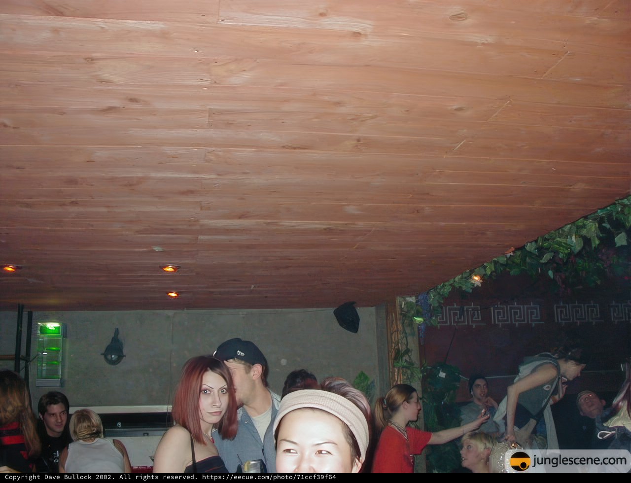 Night Out at the Club