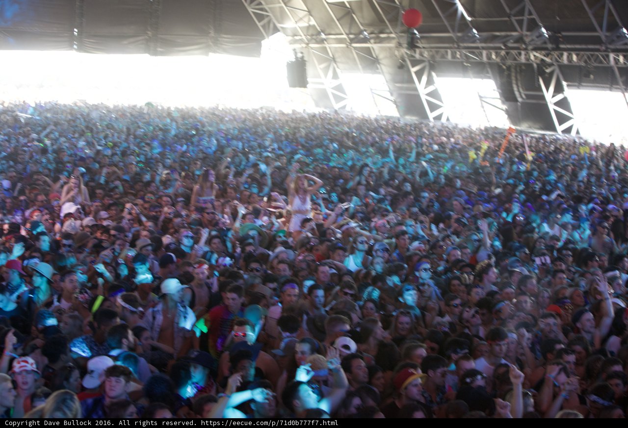 Amidst the Glow of a Rock Concert