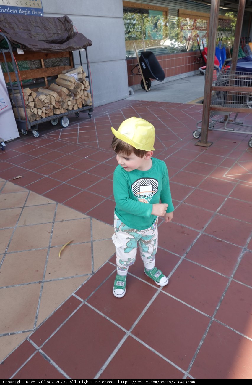 Little Explorer