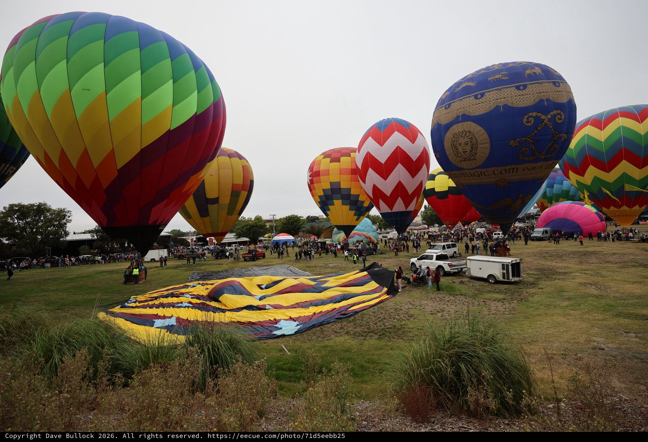 Colorful Hot Air Balloons Fill the Morning Sky