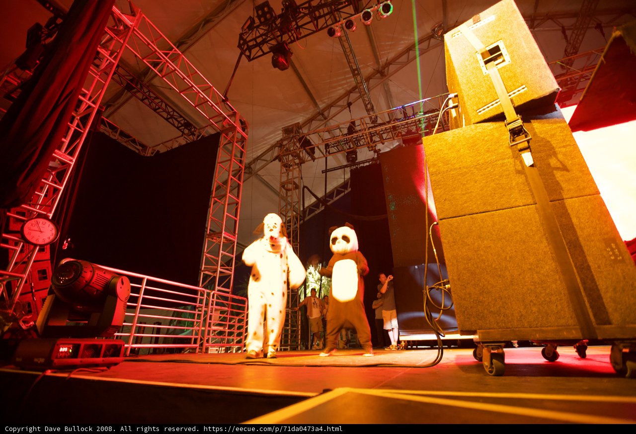 Panda and Gorilla Stand Out on Coachella Stage