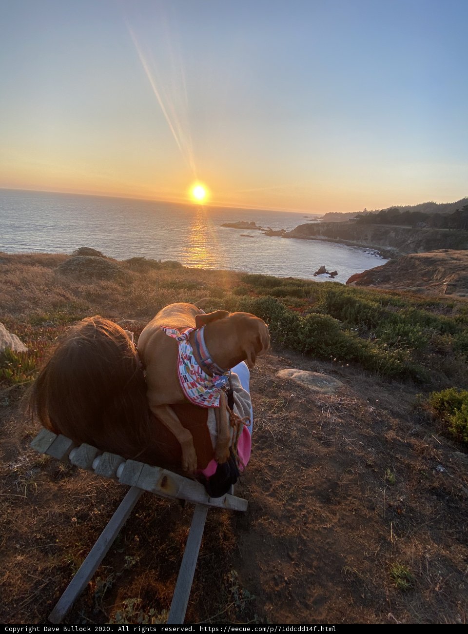 Sunset Reverie
