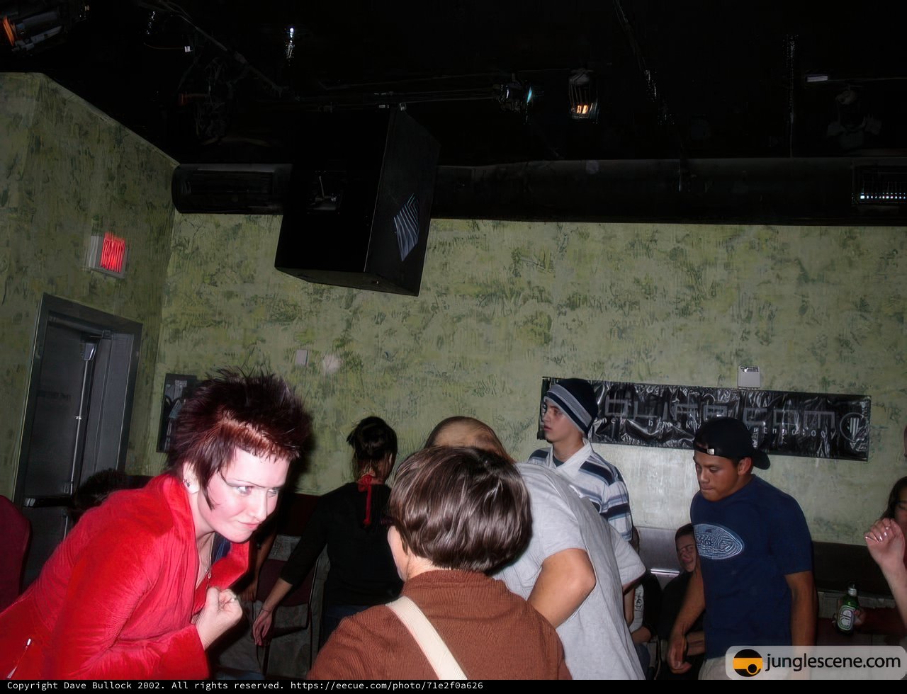 Music Lovers at the Club