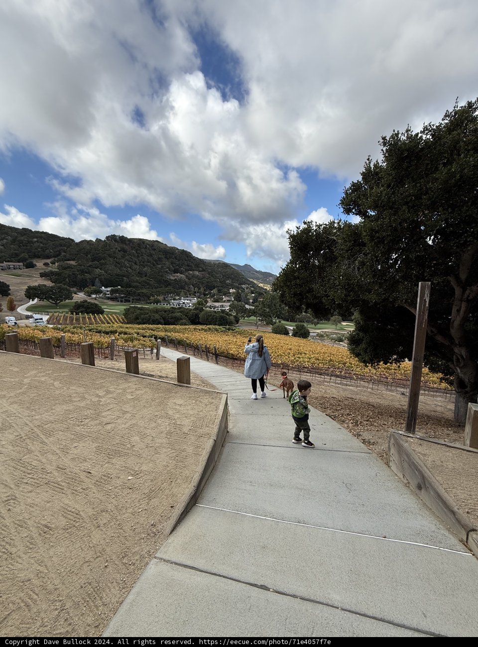 Strolling Through Carmel