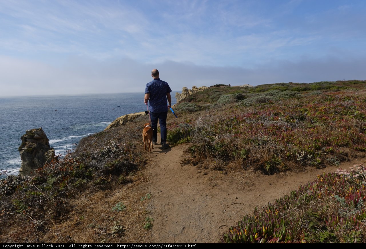 A Man and His Canine Companion Take in the Scenic Trail Along the Coast