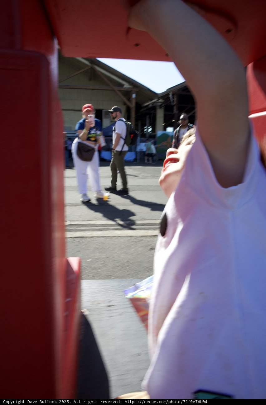 Capturing the Spirit of the Faire