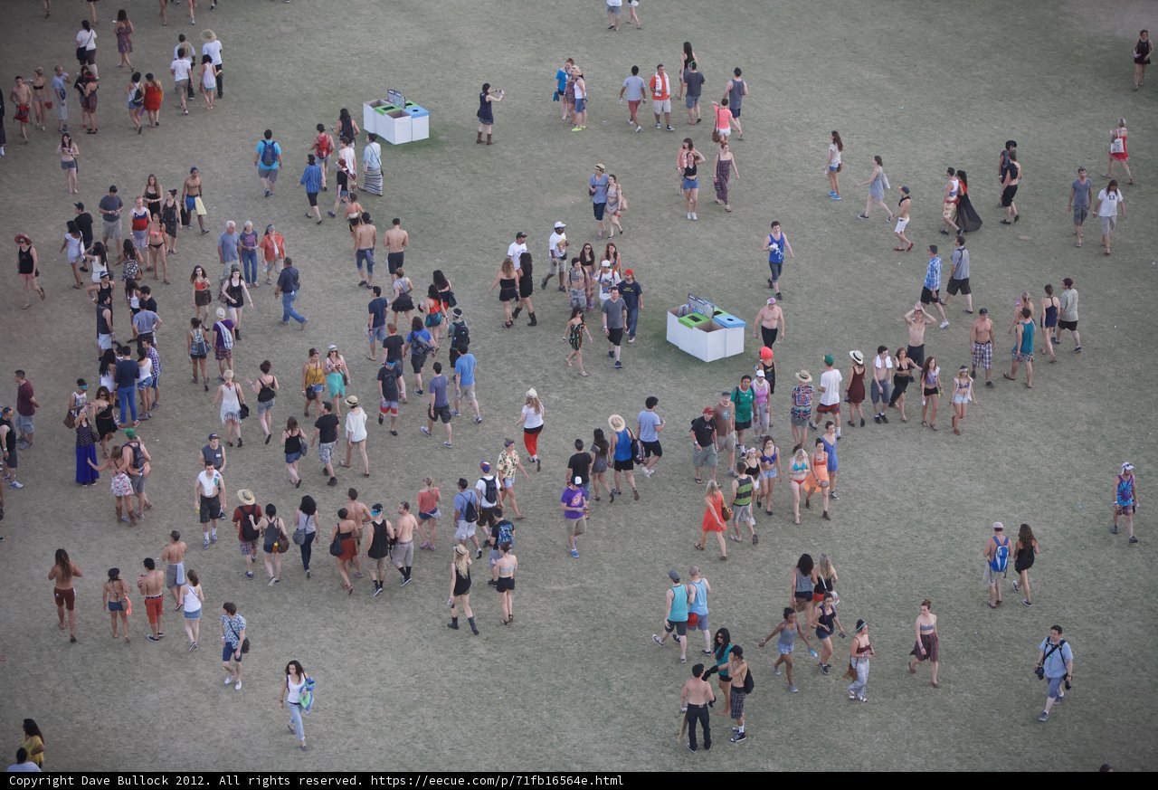 Field of Fun