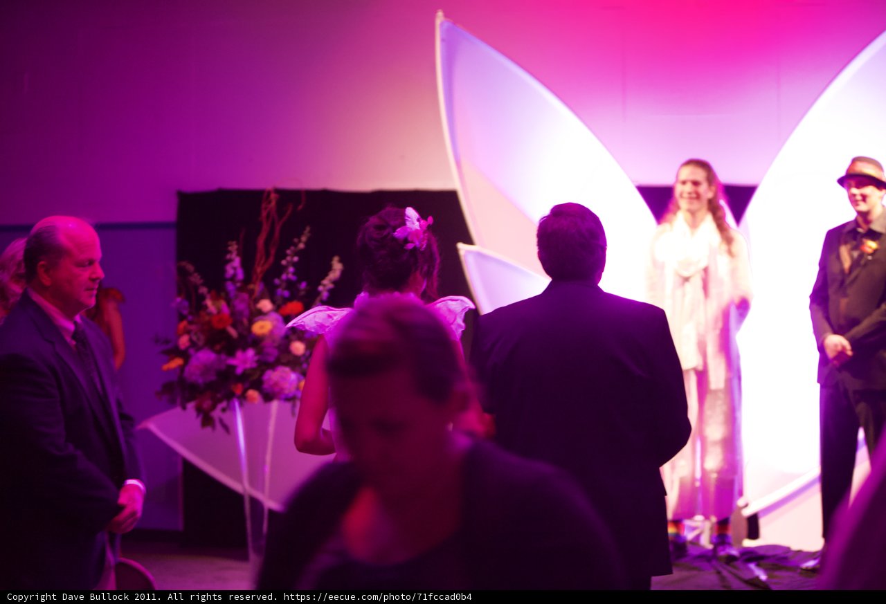 The Wickstroms' Butterfly Wedding Moment