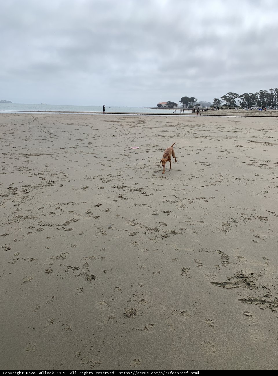 Running Free