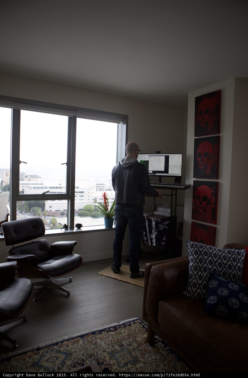 Developer at Work
