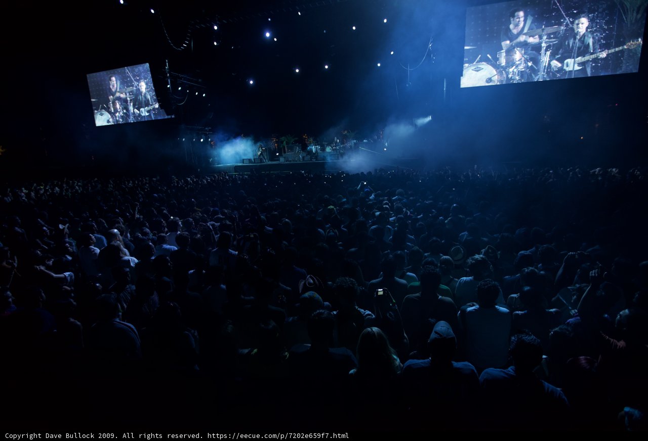 Rocking the Crowd at Coachella