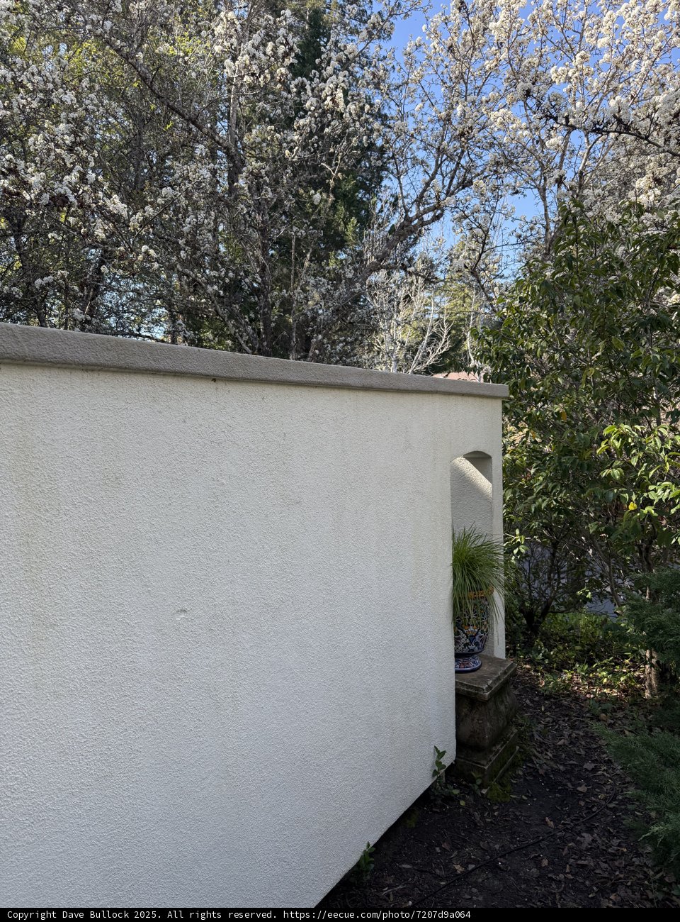 Tranquil Spring in Guerneville