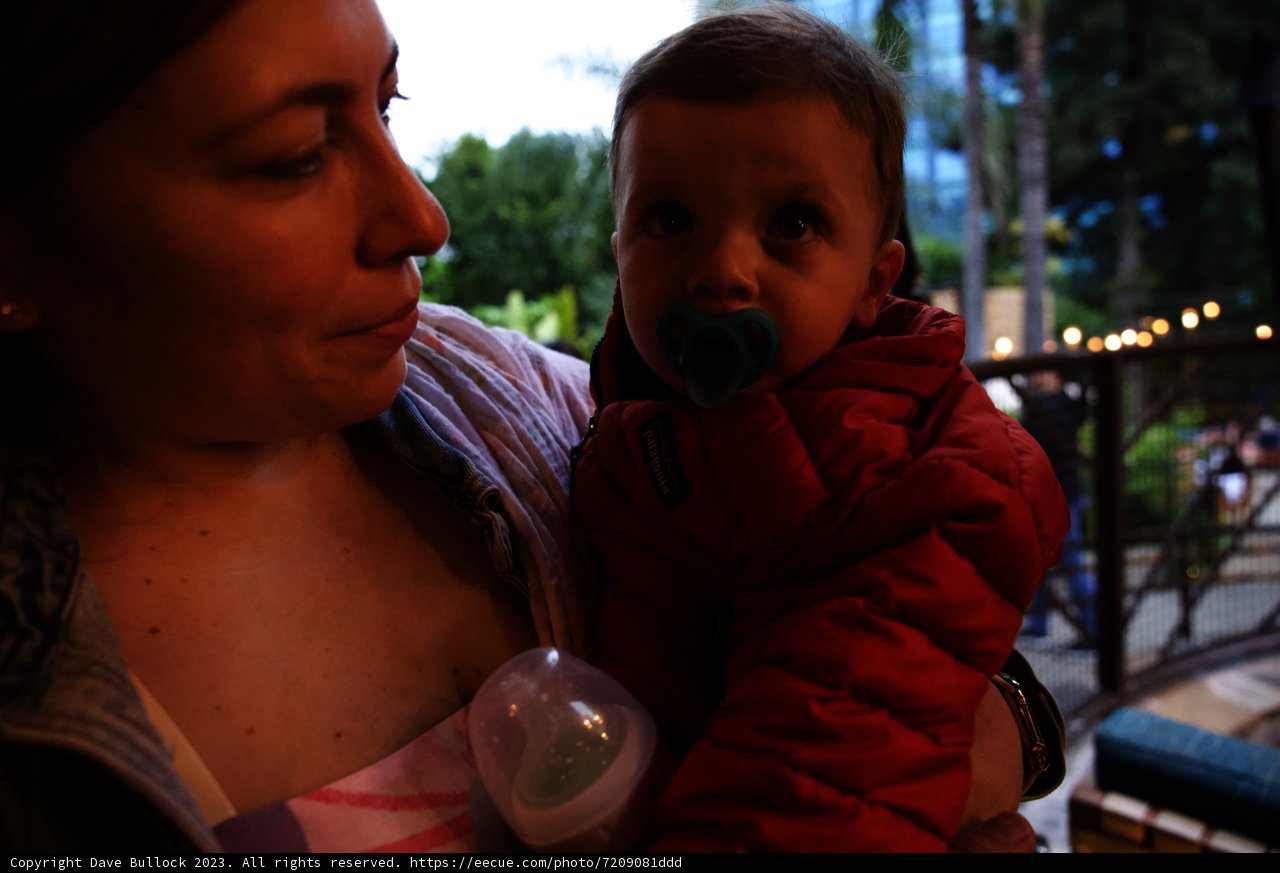 Magical Memories at Disneyland