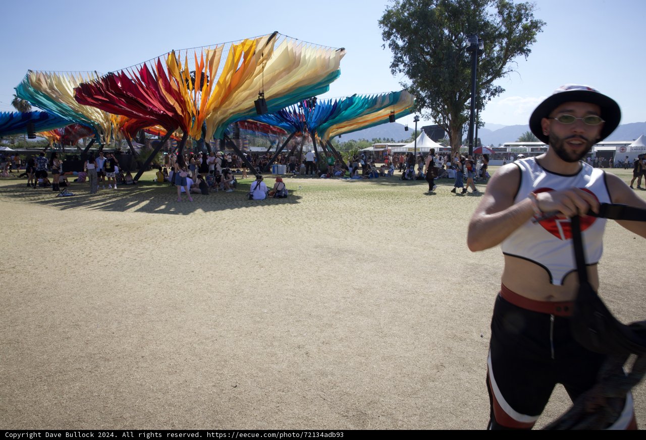 Vibrant Festivity at Coachella 2024