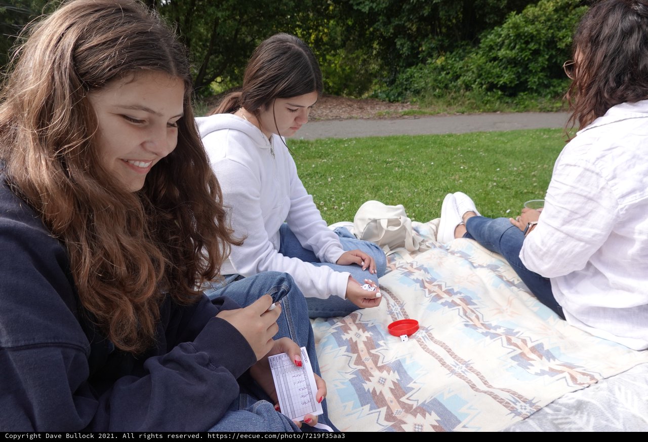 Friends Enjoying Summer Picnic in Park
