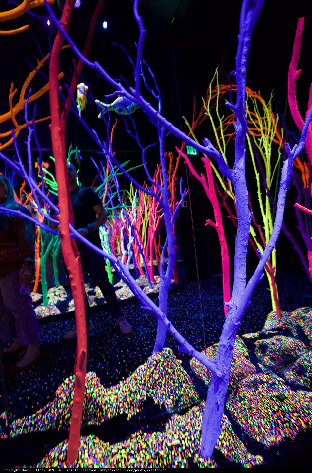 Neon Forest Installation with Glowing UV Branches