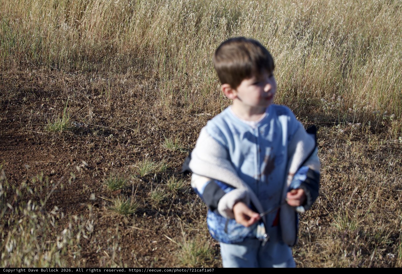 Young Boy Exploring Dry Grasslands of Mount Diablo