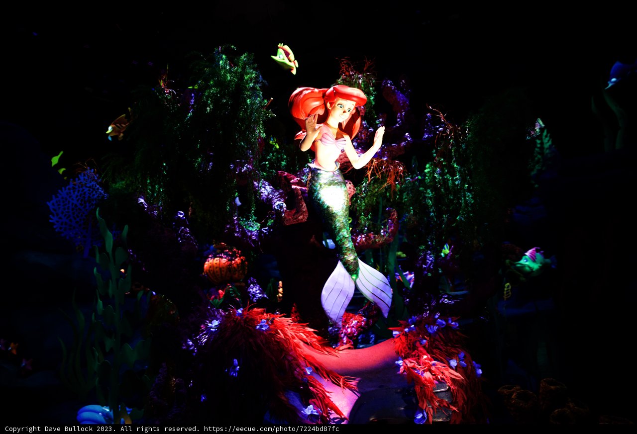 Magical Underwater Adventure at Disneyland
