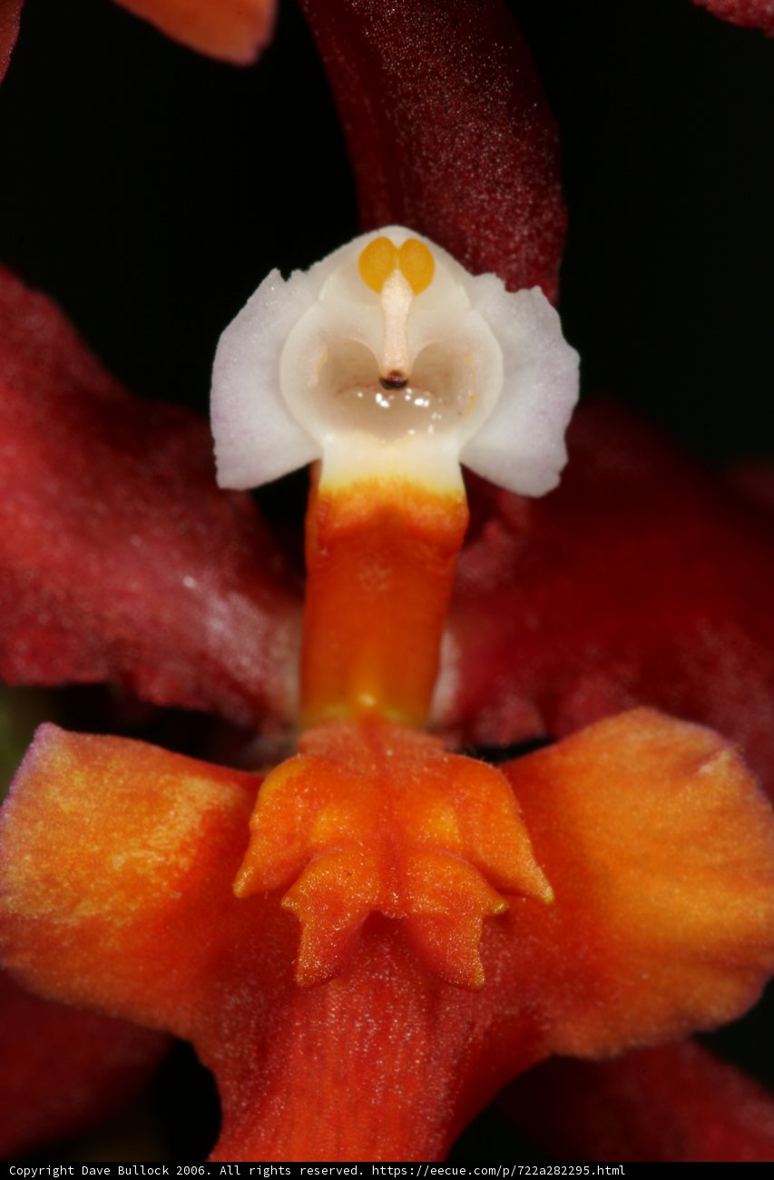 The Face of Nature