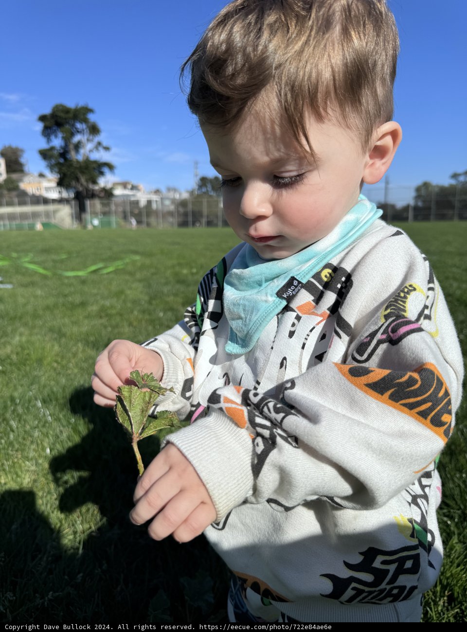 Nature's Little Explorer