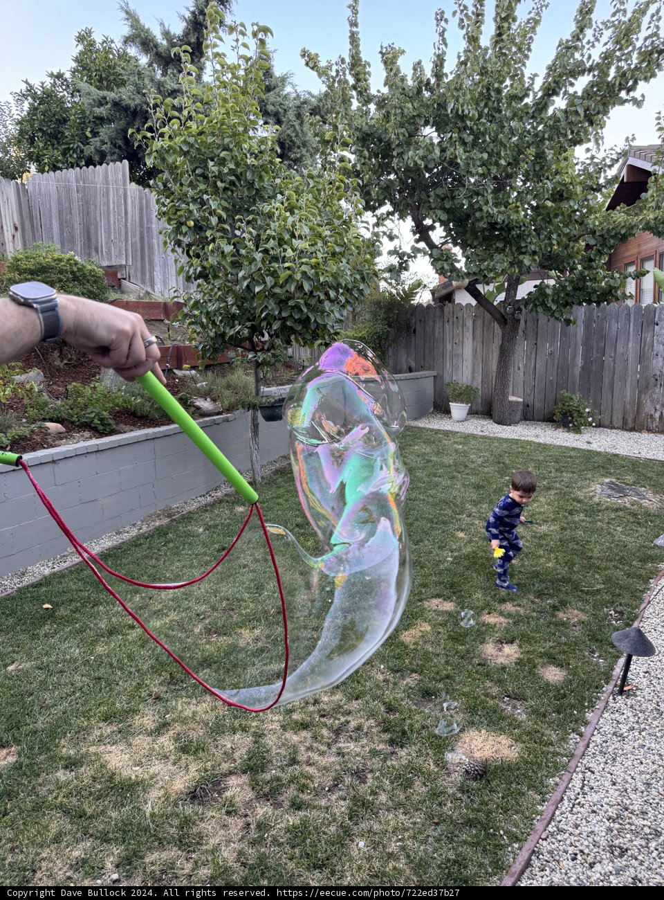 Summer Backyard Bubbles