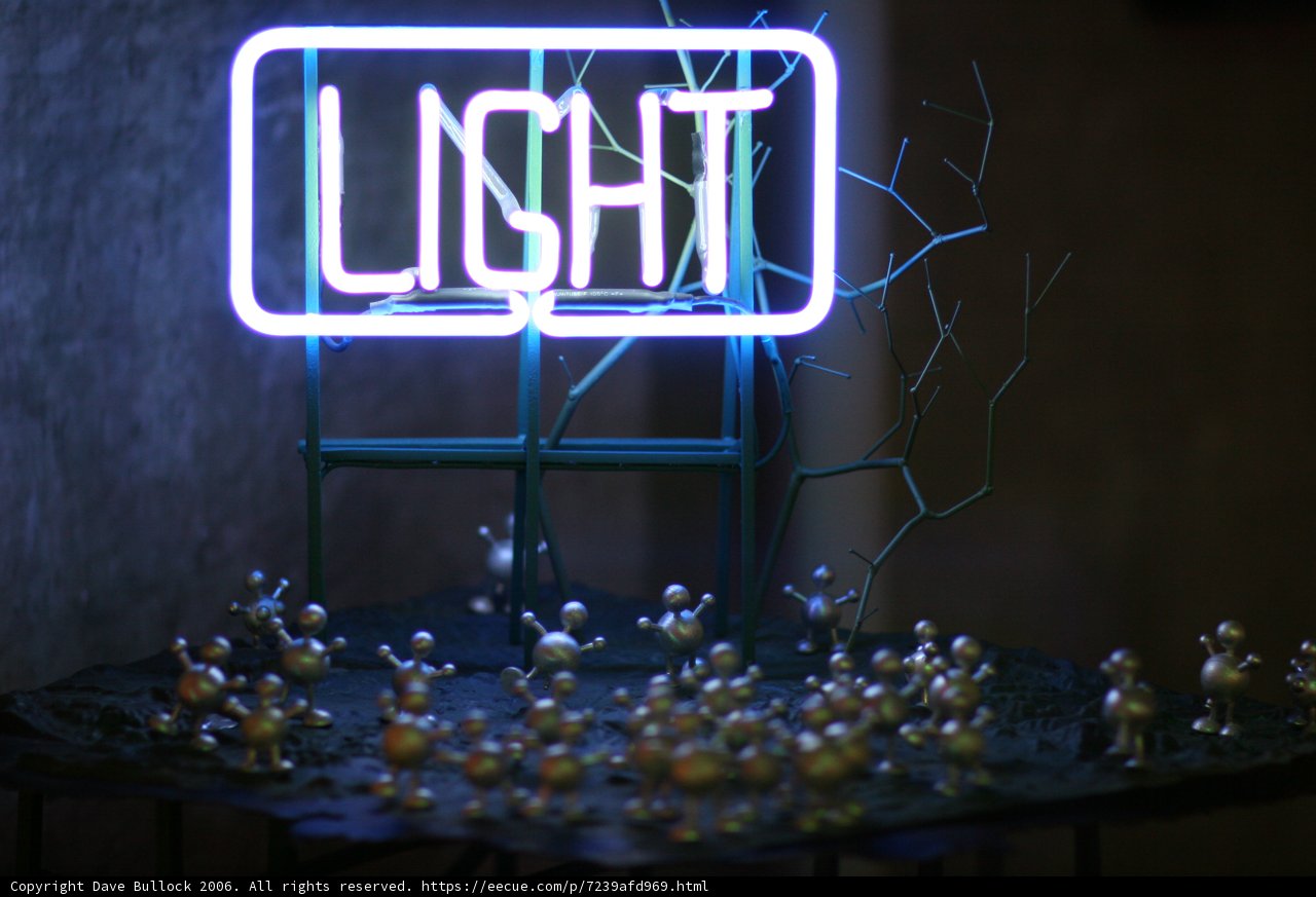 Illuminate Your Nights