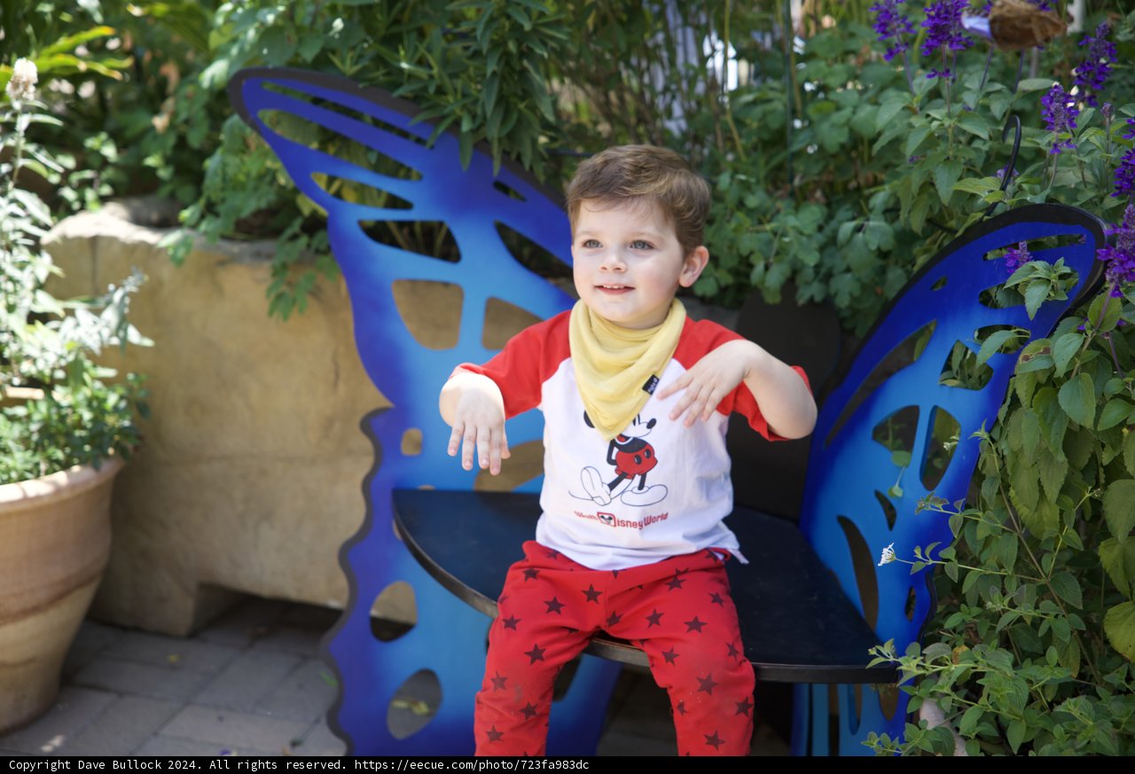 Wesley's Enchanted Garden Adventure