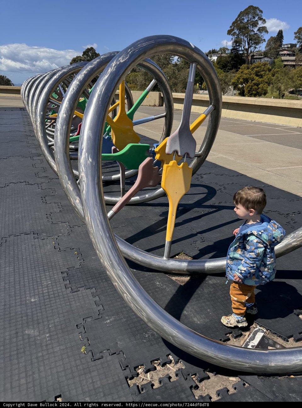 Wonder at the Wheels