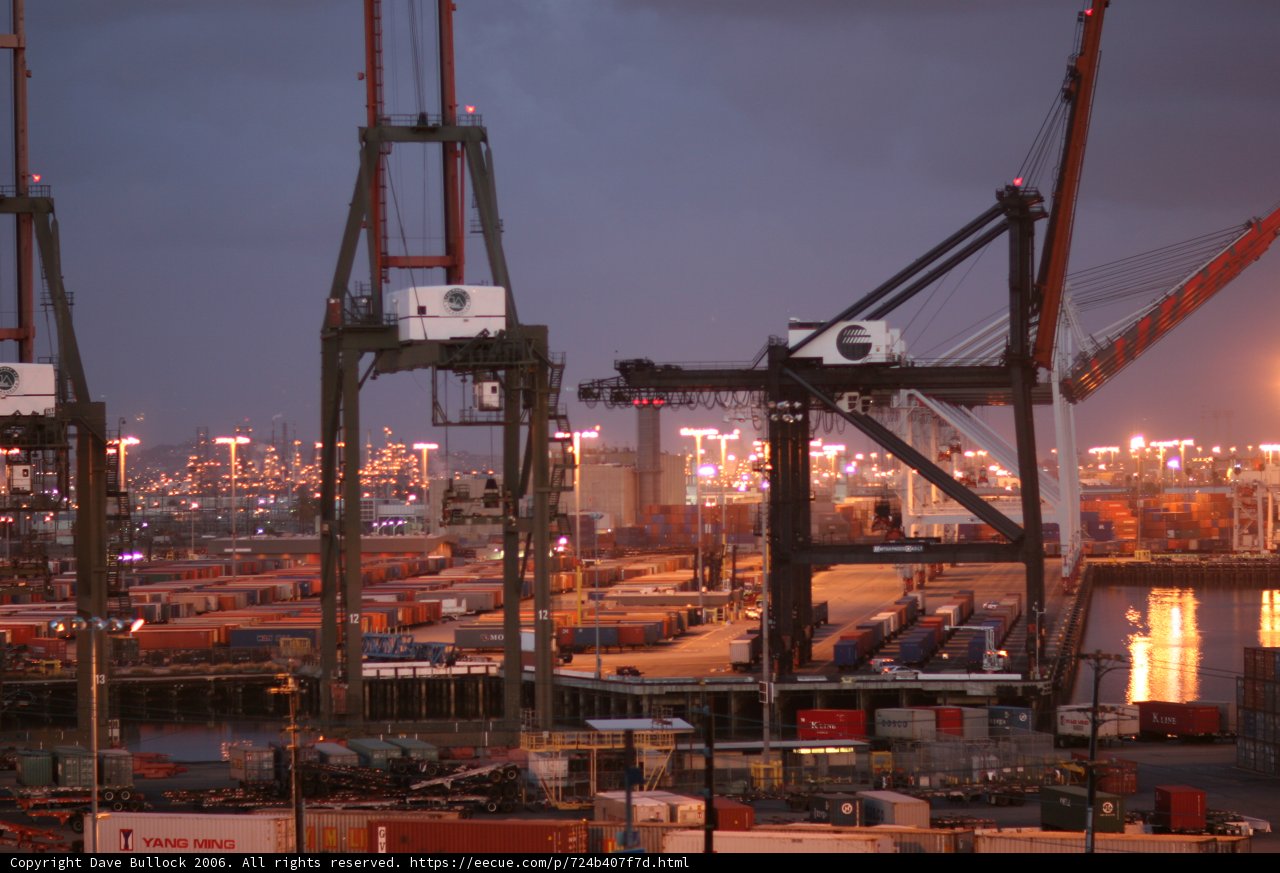 Red Crane at the Waterfront