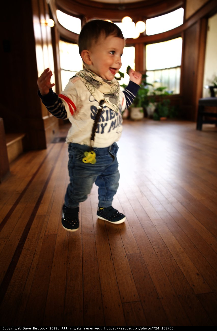 Little Explorer's First Steps